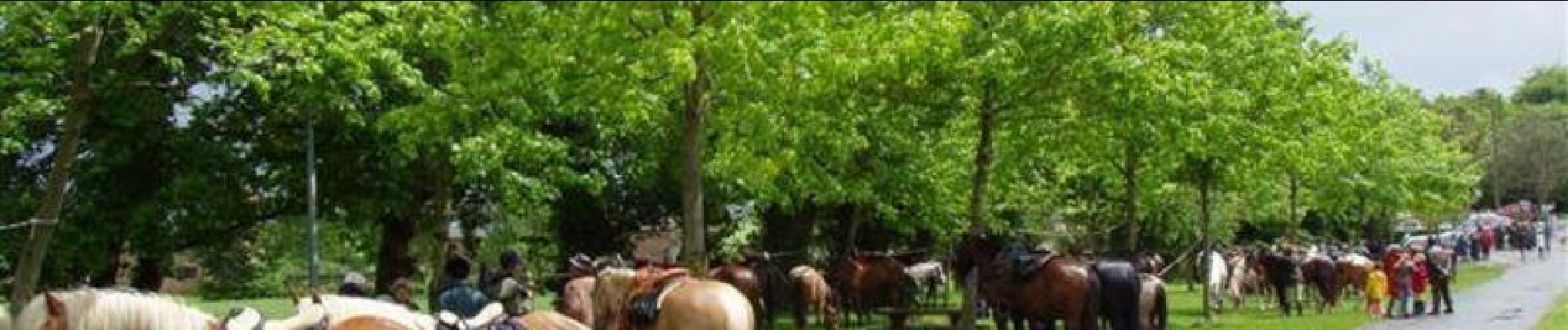 Excursión Caballo Vitré - Vitré - Château du Bois Cornillé - Equibreizh - Photo