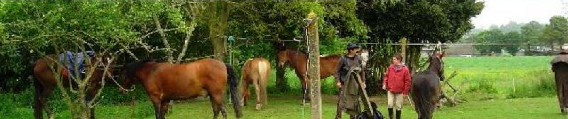 Tocht Paard Mézières-sur-Couesnon - Mézières sur Couesnon à Ville Morin - Equibreizh - Photo