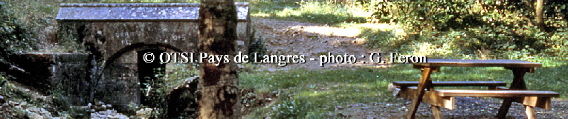Trail Walking Saints-Geosmes - Source de la Marne - Balesmes sur Marne - Photo
