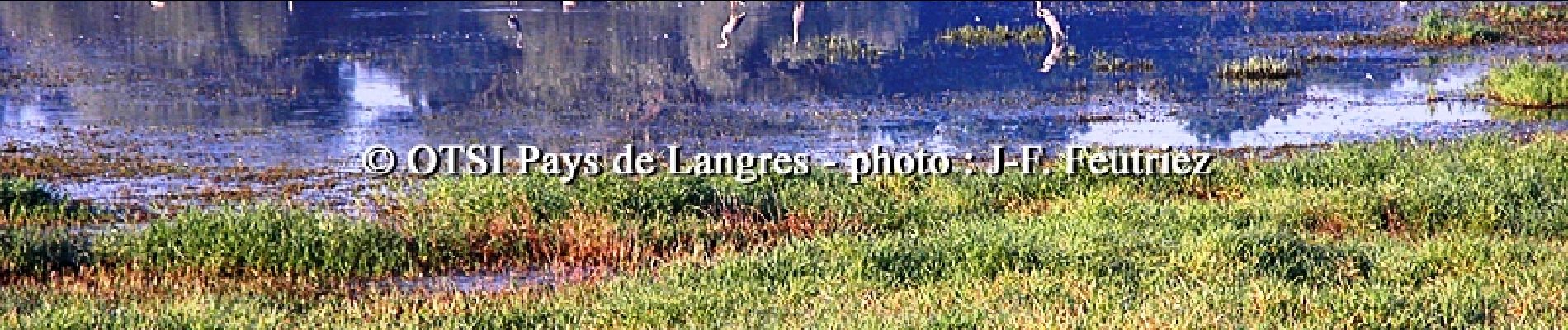 Percorso Mountainbike Longeau-Percey - Tour du Lac de la Vingeanne - Villegusien - Photo