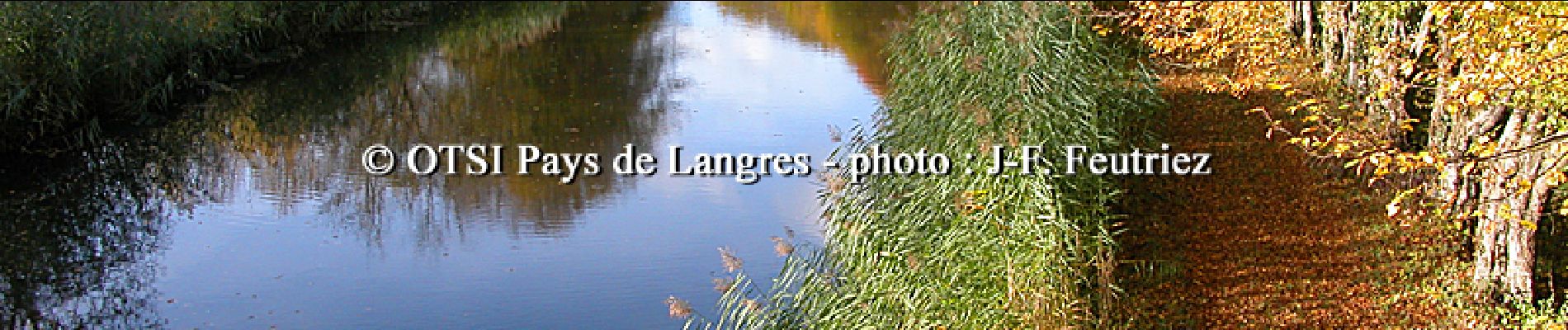 Percorso Marcia Champigny-lès-Langres - La Montagnotte - Photo