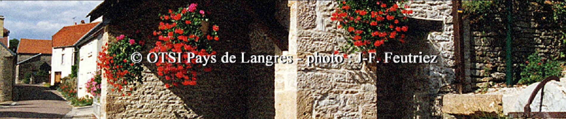 Tour Wandern Orcevaux - Les Coteaux du plateau de Langres - Photo