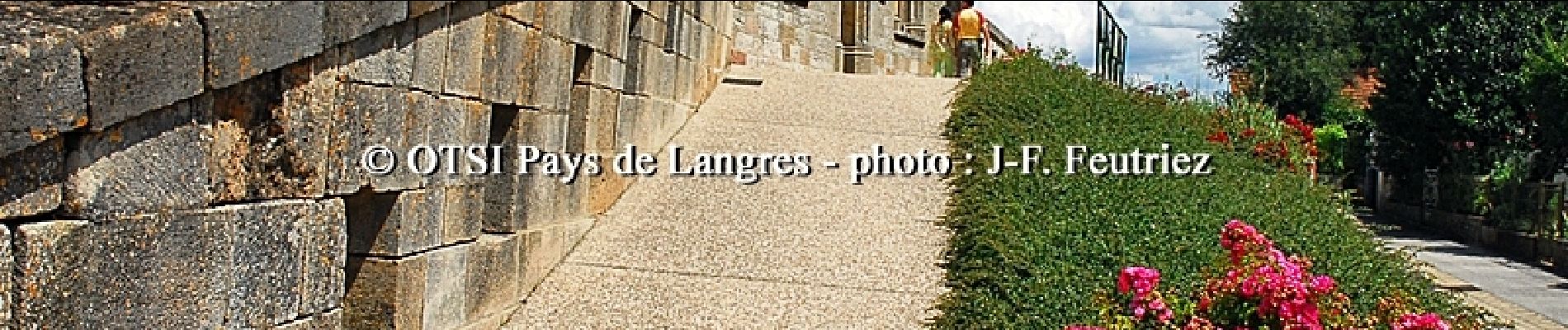 Randonnée Marche Langres - La croisée des Voies Romaines - Langres - Photo