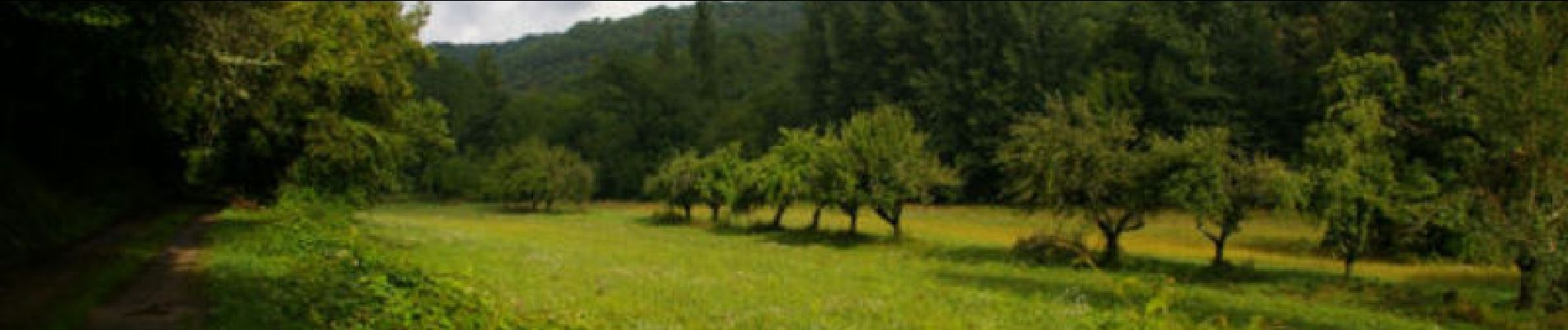 Tour Wandern Corn - Corn - Marcilhac sur Célé - Chemin de St-Jacques de Compostelle - Photo