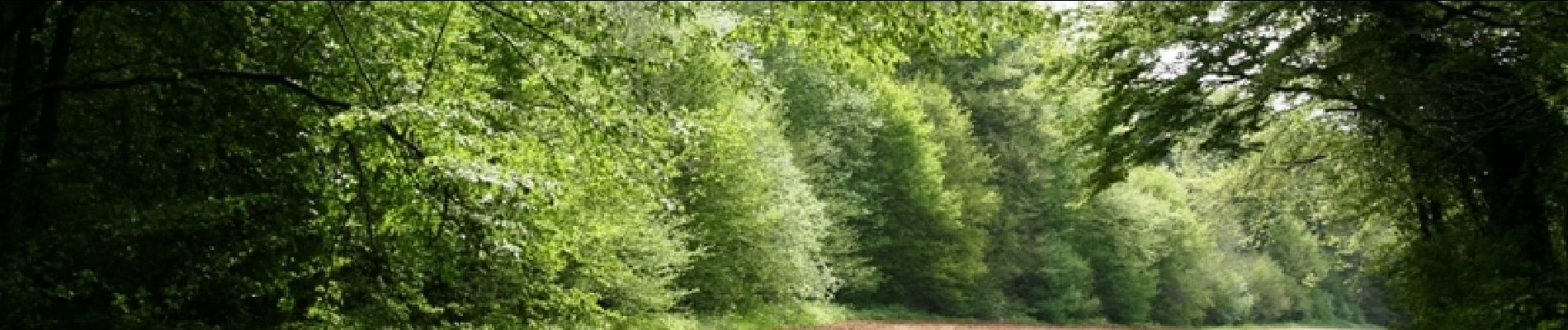 Randonnée Marche Dury - La belle épine (variante courte) - Photo