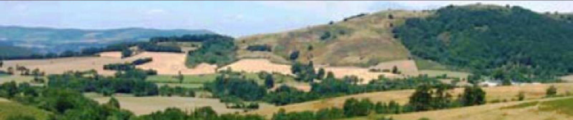 Excursión Bici de montaña Castanet-le-Haut - Le plateau de Fagayrolles - Photo