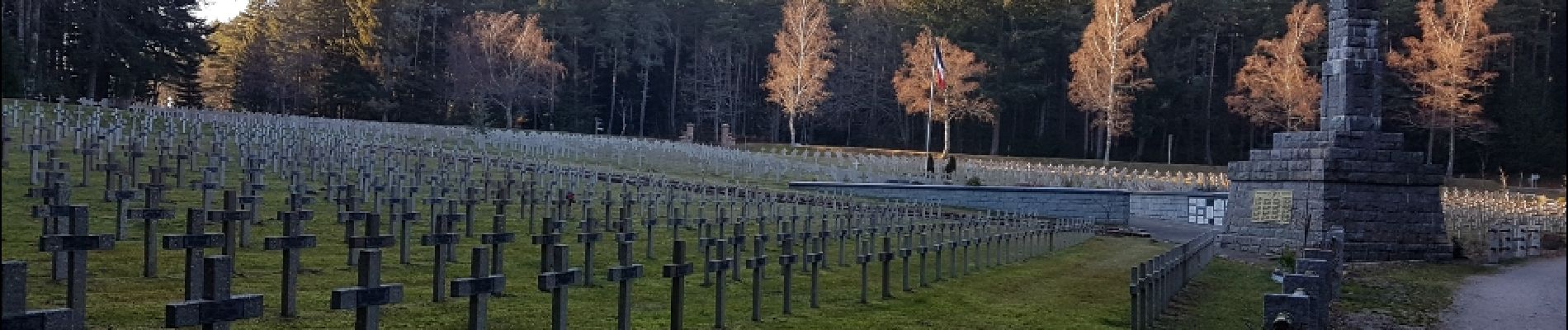 Tocht Stappen Orbey - col du Wettstein et Mémorial du Linge  - Photo