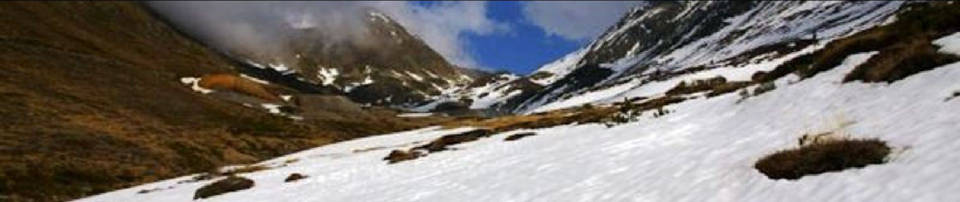 Tour Schneeschuhwandern Porté-Puymorens - Le lac de Bassa de Mercader - Photo