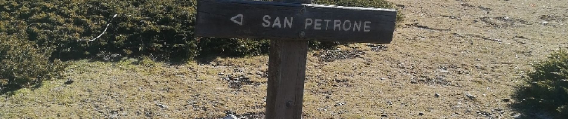 Trail Walking Pie-d'Orezza - Campodonico - San Petrone - Photo