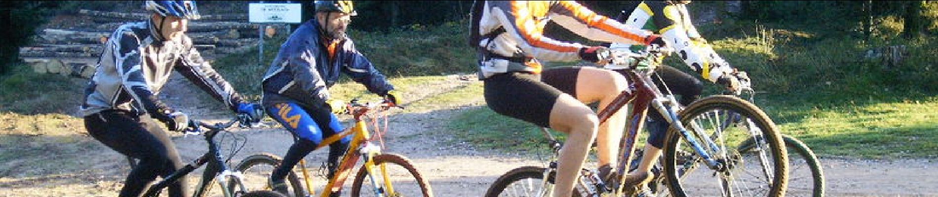 Percorso Mountainbike Phalsbourg - Circuit VTT de Bonne Fontaine - Phalsbourg - Photo