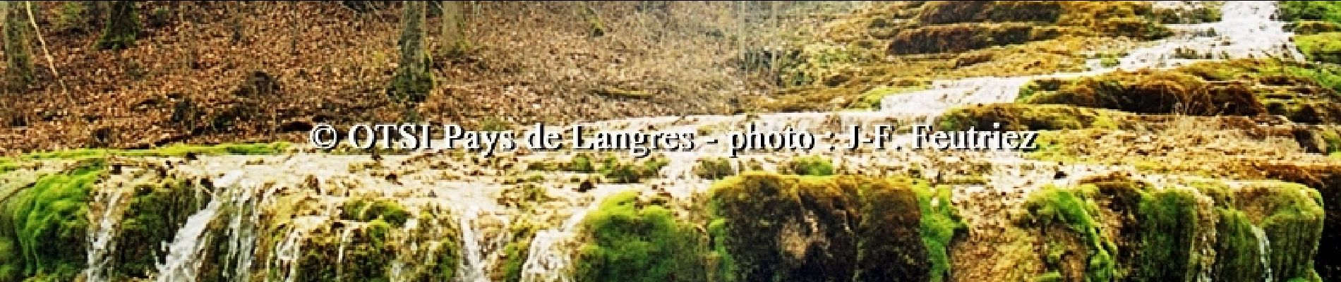 Percorso Bicicletta Langres - Entre Plateau de Langres et Montagne - Photo