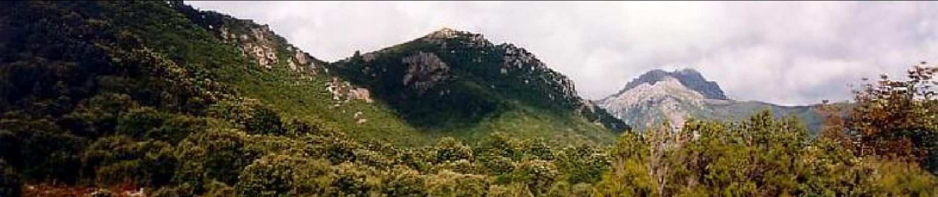 Tour Wandern Quasquara - Mare a Mare Centre - de Quasquara au Col St Georges - Photo