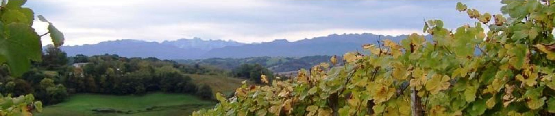 Tour Wandern Laroin - Les vignes en terrasses des collines de Jurançon - Photo