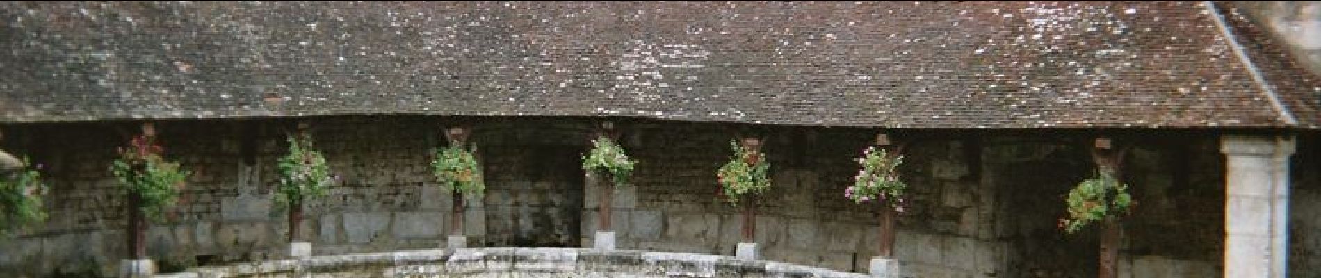 Tocht Stappen Étourvy - Chemin de Compostelle, Voie de Vézelay GR654® De Etourvy à Tonnerre - Photo