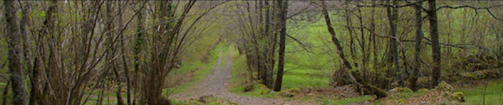 Trail Walking Arcizans-Dessus - Soum de la Pene - Photo