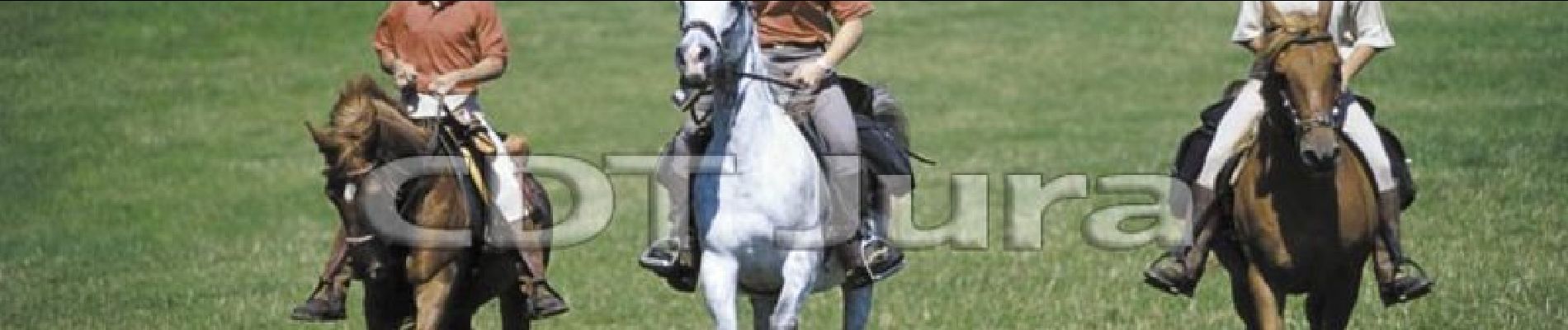 Trail Equestrian Aromas - Villeneuve lès Charnod - Légna - Photo