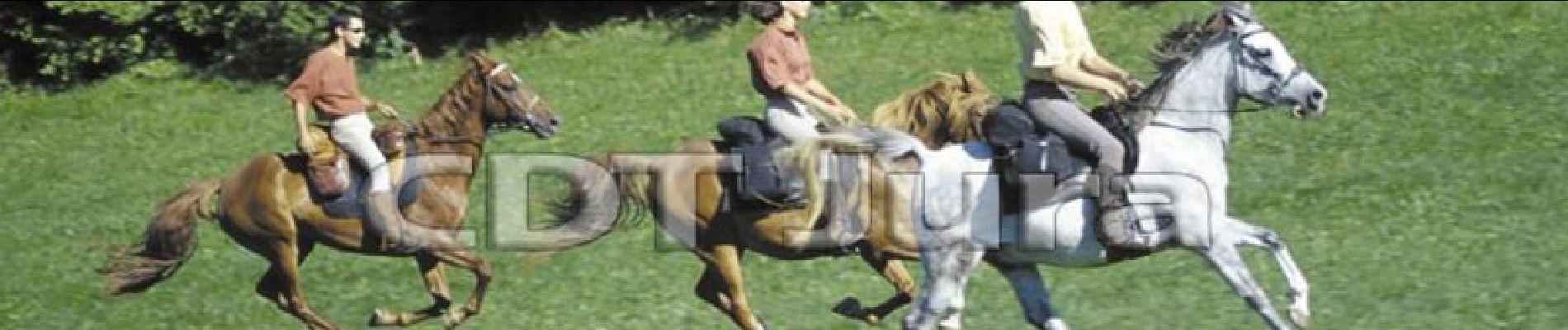 Tocht Paard Aromas - Villeneuve lès Charnod - Saint Amour - Photo