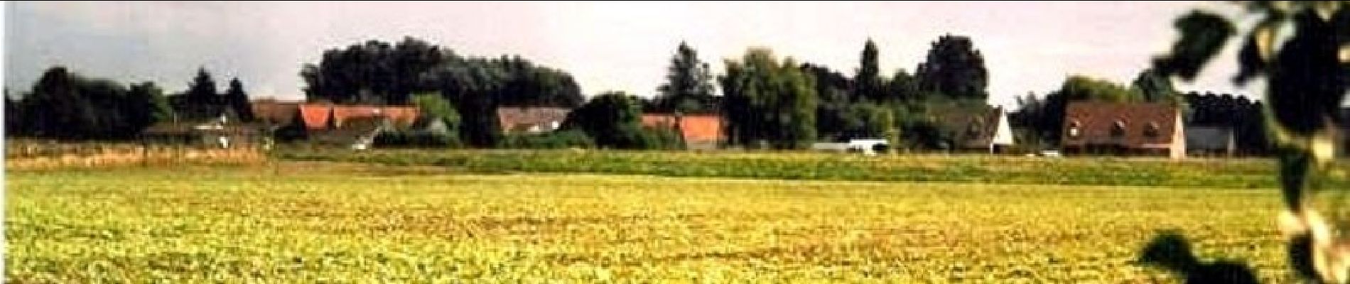 Tour Fahrrad Beuvry-la-Forêt - La Plaine de la Scarpe - Beuvry la Forêt - Photo