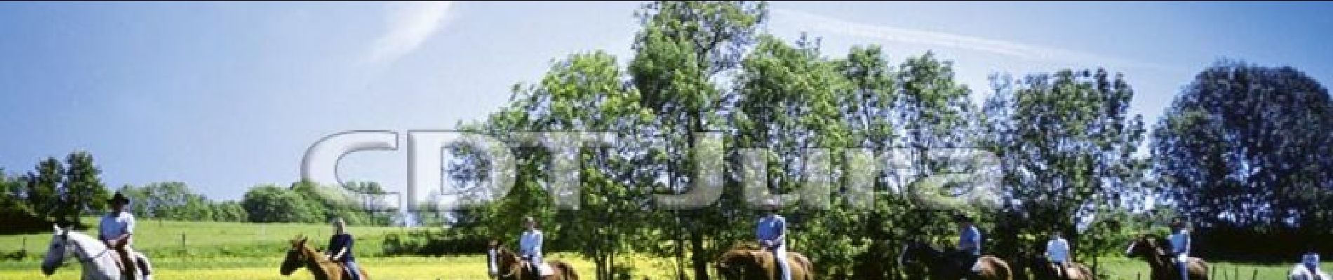 Trail Equestrian Valzin-en-Petite-Montagne - Montadroit - Boissia - Photo
