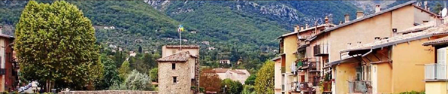 Tocht Stappen La Bollène-Vésubie - Via Alpina - D61: Col de Turini > Sospel - Photo