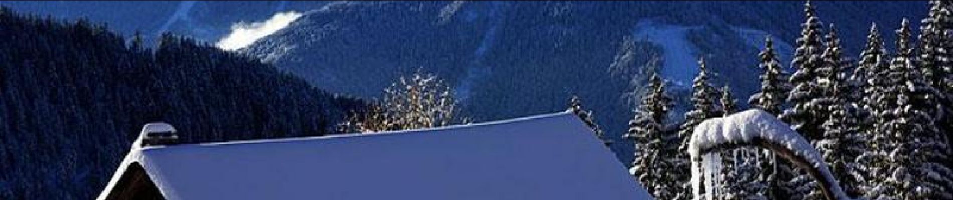 Randonnée Raquettes à neige Morzine - Les Dérêches en raquettes - Photo
