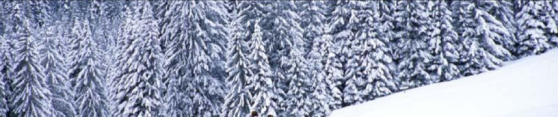 Randonnée Raquettes à neige Morzine - De l'Erigné à Chardonnières en raquettes - Photo