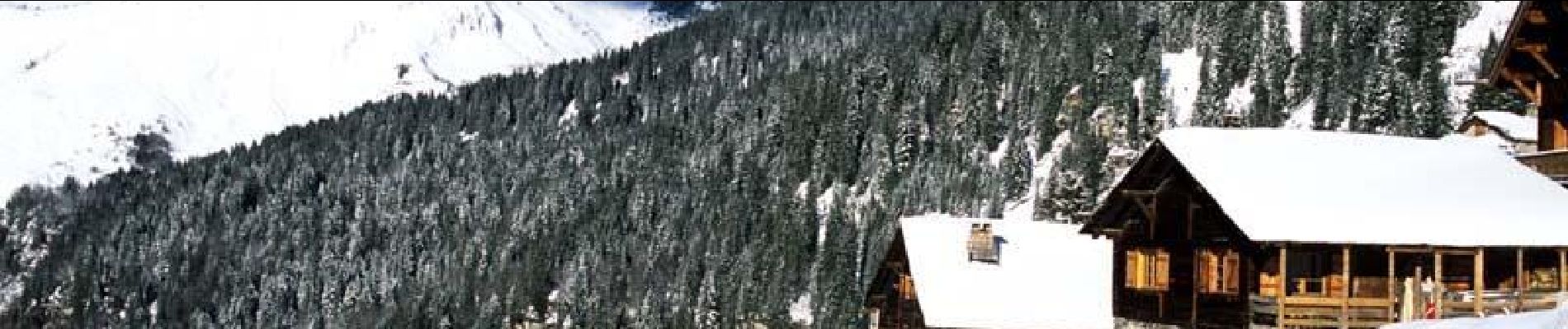 Tocht Sneeuwschoenen Morzine - Le village des Lindarets en raquettes - Photo