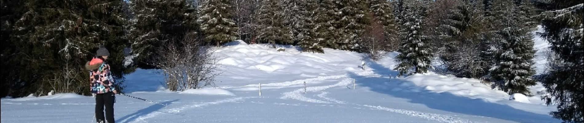 Randonnée Raquettes à neige La Bresse - 19-01-2019 Col de grosse Pierre - Photo