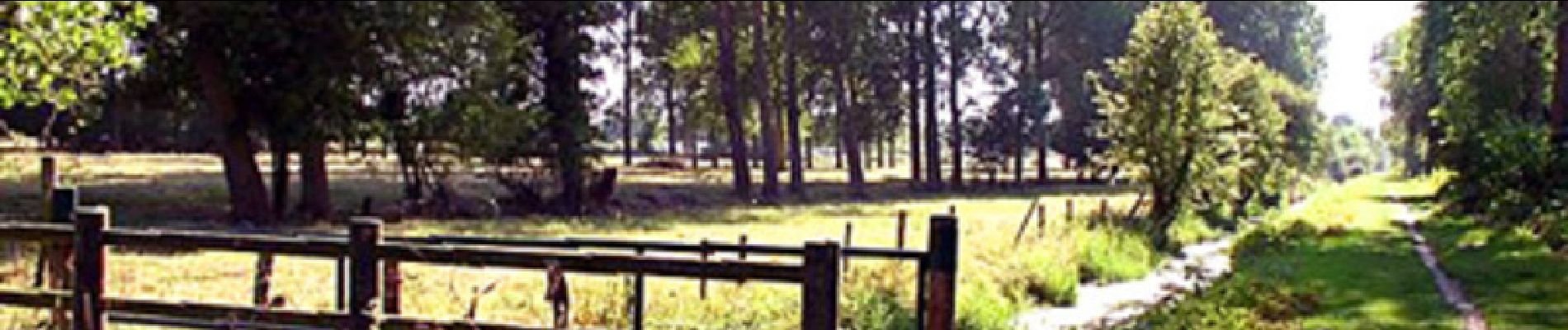 Randonnée Marche Rang-du-Fliers - Sentier du petit marais - Rang du Fliers - Photo