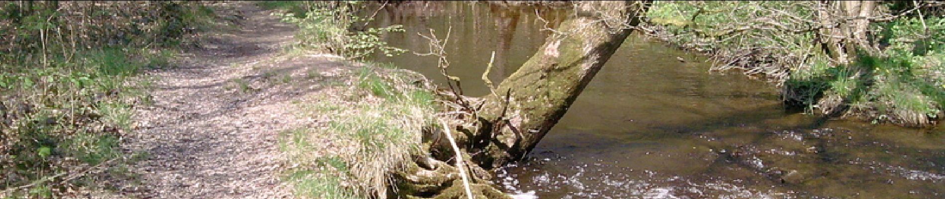 Tour Wandern Signy-le-Petit - Les Etangs et Rivières de Signy-le-Petit - Photo