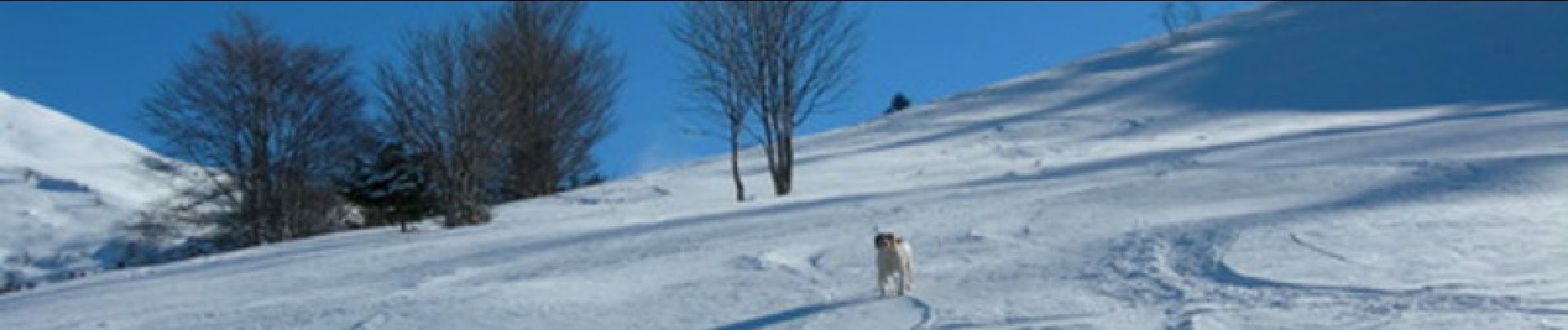 Randonnée Marche Aydius - Pic Lasnères 2000m - Photo