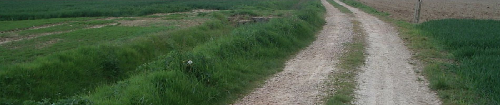 Tour Wandern Mesnil-en-Ouche - Circuit des Masniéres  -  La Roussière    - Photo