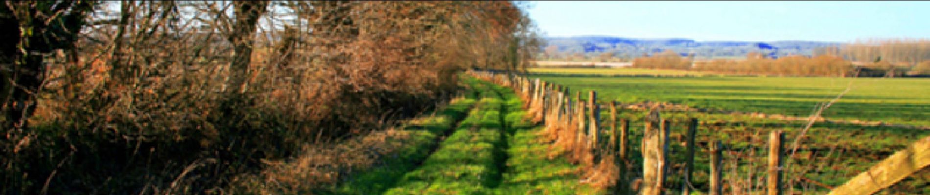 Tocht Stappen Val-d'Étangson - Evaillé - Un village paisible ourlé par le Tusson - Photo