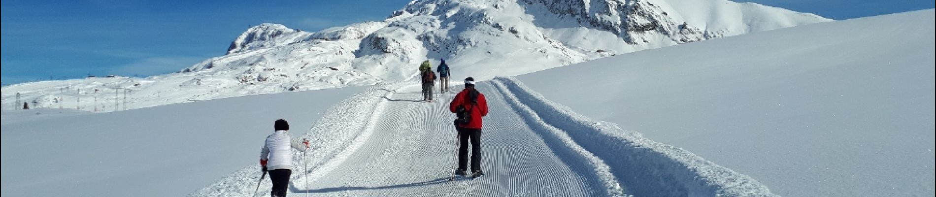 Excursión Raquetas de nieve Auris - Alpe d'Huez - Plateau Rochette - Photo