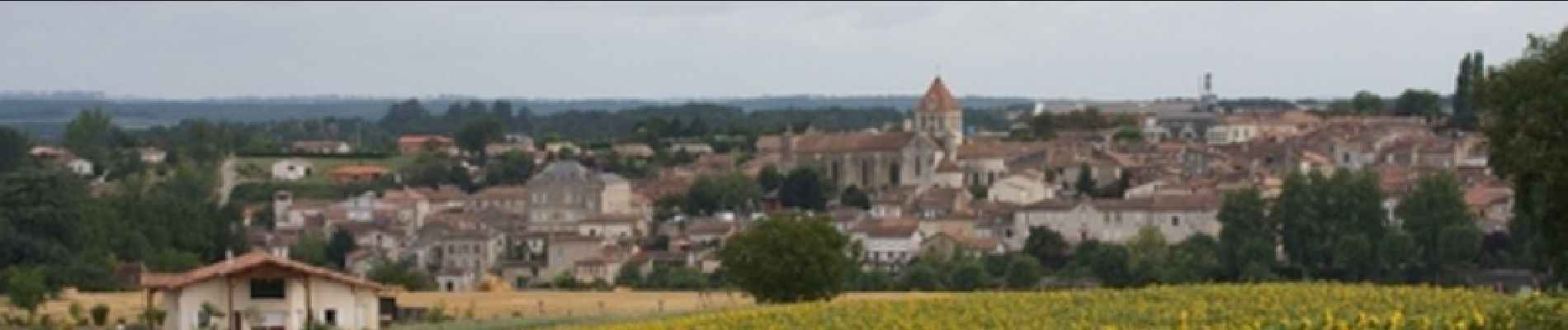 Tocht Paard Mézin - De Mézin, la Médiévale à Poudenas l'Italienne - Pays d'Albret - Photo