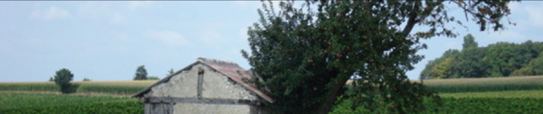 Percorso Marcia Lauzun - Lauzun, la boucle des églises de St-Macaire, Queyssel et St-Nazaire - Pays du Dropt - Photo