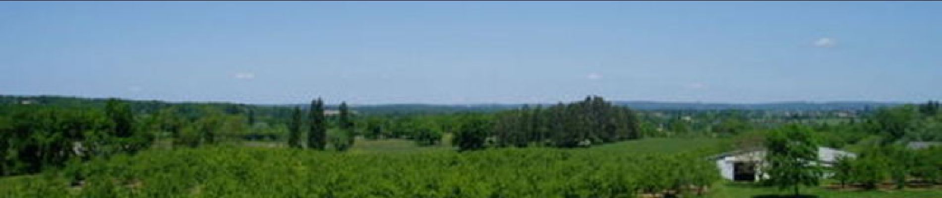 Tour Pferd Saint-Eutrope-de-Born - Born, un village fleuri - Pays du Dropt - Photo