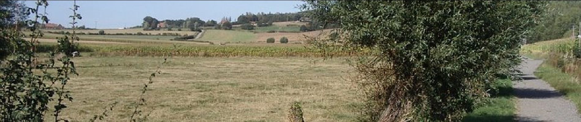 Tocht Stappen Sint-Janskappel - Sentier des Jacinthes - Saint-Jans-Cappel - Photo