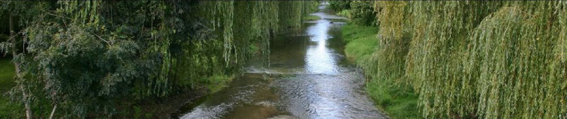 Tour Wandern Laheycourt - La boucle du chêne Henriot - Laheycourt - Photo