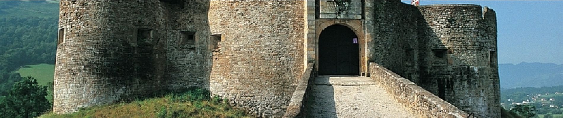 Tour Wandern L'Hôpital-Saint-Blaise - Chemin du Piémont Pyrénéen - De l'Hôpital St Blaise à Mauléon Licharre - Photo