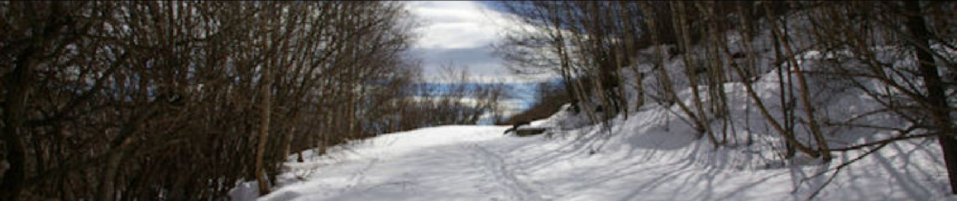 Trail Snowshoes Angoustrine-Villeneuve-des-Escaldes - Sant Marti d'Envalls - Photo