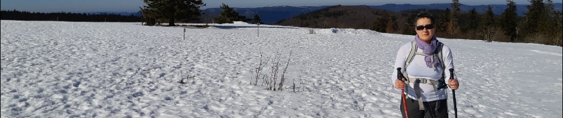 Tour Zu Fuß Hohwald - cdf - Photo