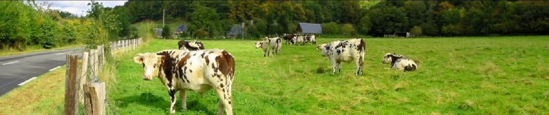 Tour Wandern Le Bec-Hellouin - Circuit des Bénédictins - Le Bec-Hellouin - Photo