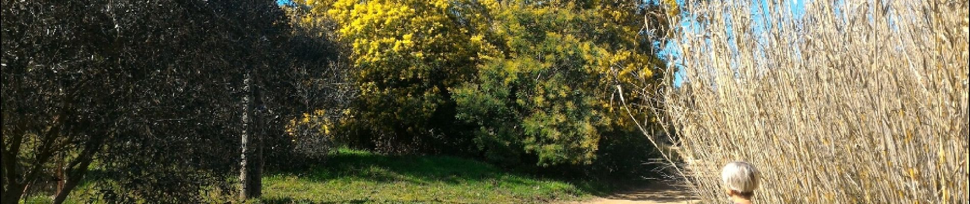 Randonnée Marche Roquebrune-sur-Argens - la Garonnette - Photo