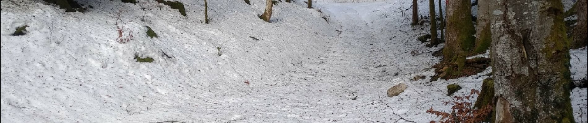 Randonnée Raquettes à neige La Chaux - Cret Moniot 19 fév 2019 CAF - Photo