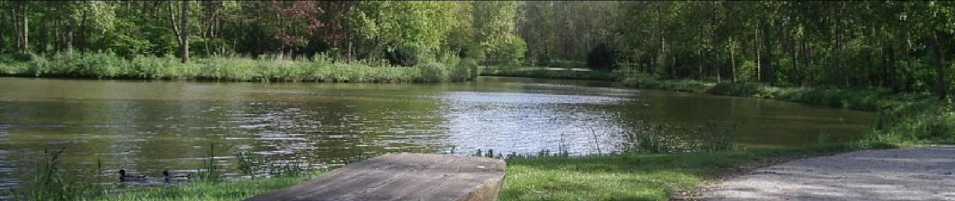 Tocht Stappen Téteghem-Coudekerque-Village - Circuit du Bois des Forts - Coudekerque - Photo