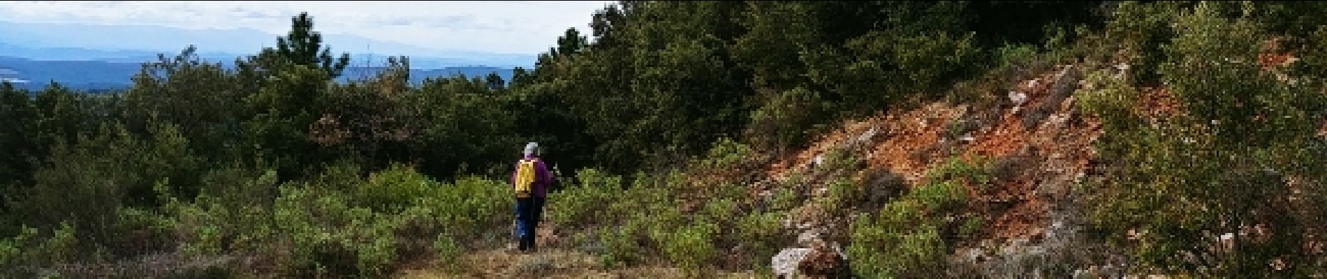 Trail Walking Claviers - la foret du puy - Photo