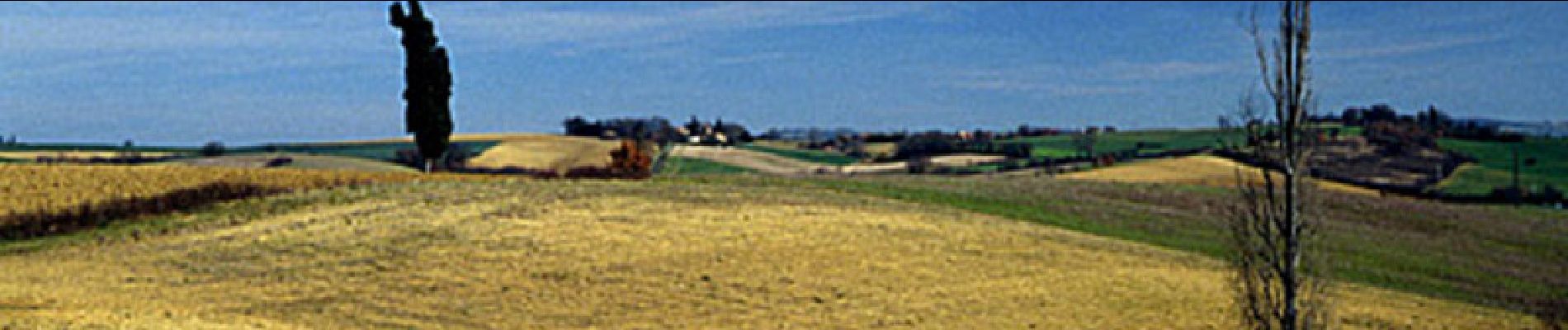 Trail Walking Montestruc-sur-Gers - Un peu plus près des étoiles  - Montestruc sur Gers - Photo