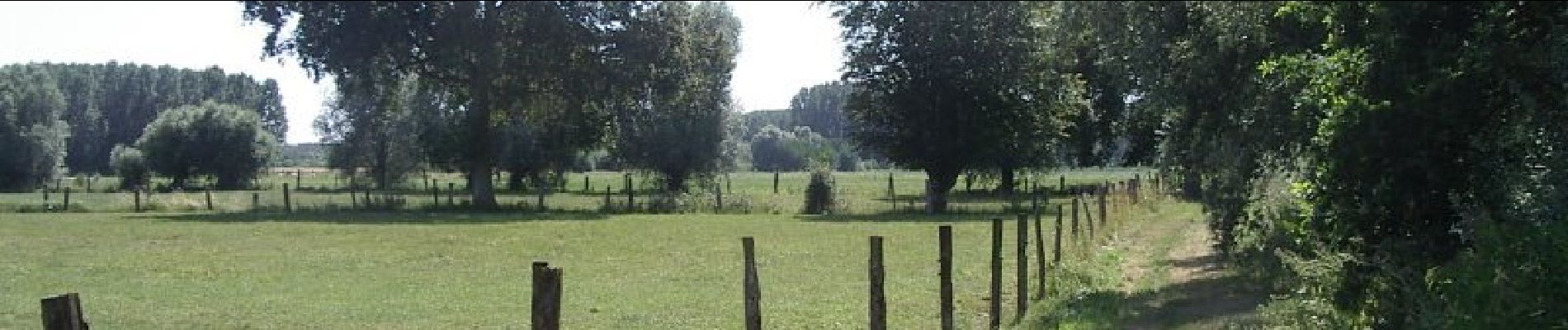 Tour Wandern Tilloy-lez-Marchiennes - Circuit du Marais des Vaches - Tilloy-lez-Marchiennes - Photo