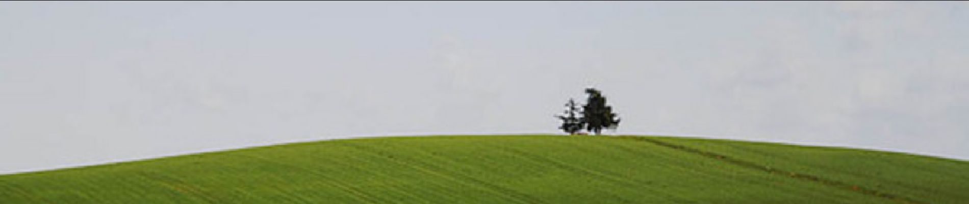 Percorso Marcia Vignaux - Parcours de la Garenne - Vignaux - Photo